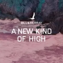 Image of A New Kind of High