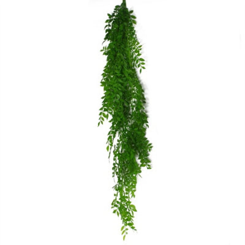 Image of Leaf 100cm Hanging String of Pearls Fern Plant Light Green Green unisex