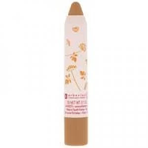 Image of Erborian Bb Crayon Au Ginseng Caramel 3g