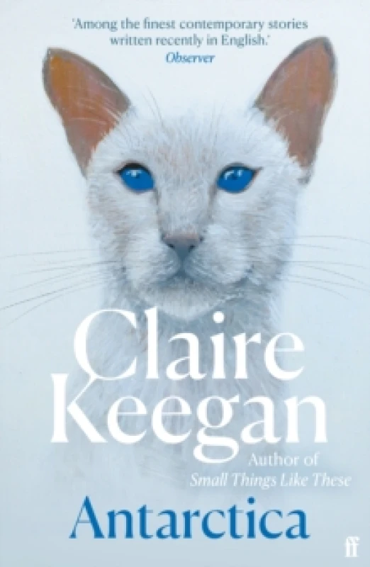 Image of Antarctica : A genuine once-in-a-generation writer. THE TIMES Paperback / softback