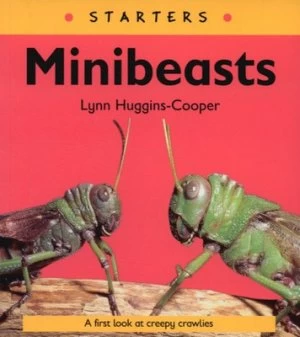 Image of Minibeasts by Lynn Huggins-Cooper Paperback