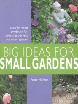 Image of Big Ideas for Small Gardens by Peter Mchoy Paperback