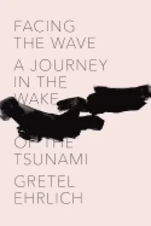 Image of facing the wave a journey in the wake of the tsunami