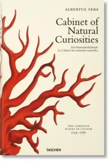 Image of Seba. Cabinet of Natural Curiosities