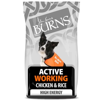 image of Burns Active Chicken and Rice Dog Food 12kg