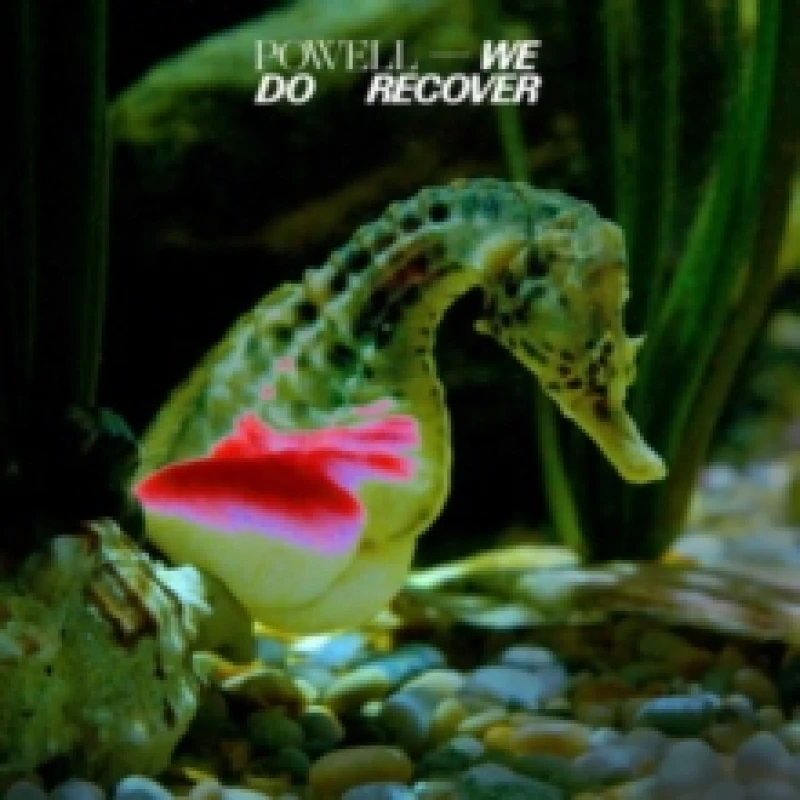 Image of We Do Recover Vinyl