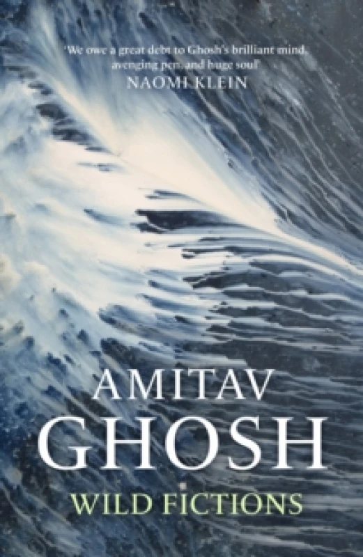 Image of Wild Fictions Hardback