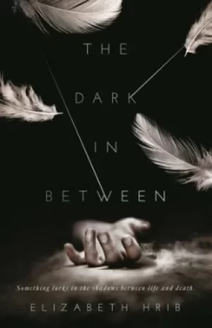 Image of The dark in-between by Elizabeth Hrib
