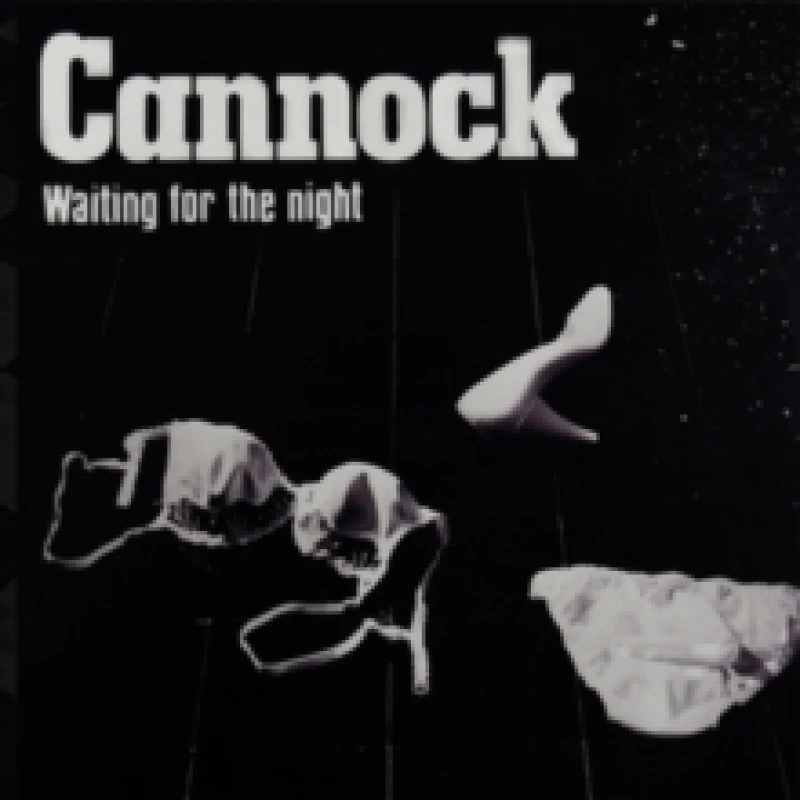 Image of Waiting for the night CD / Album