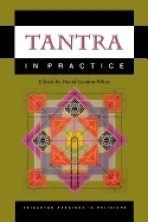 Image of tantra in practice