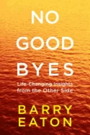 Image of no goodbyes life changing insights from the other side
