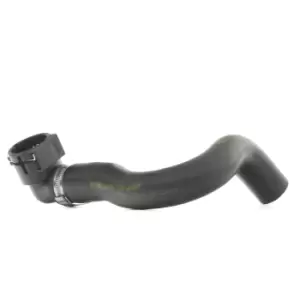 Image of METZGER Radiator Hose VW,AUDI,SKODA 2420060 1K0121157BR,1K0122157A,3C0122157FC Coolant Hose