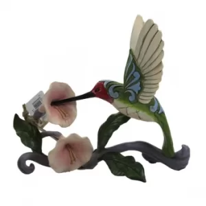 Image of Blossoms and Beauty Hummingbird with Flower