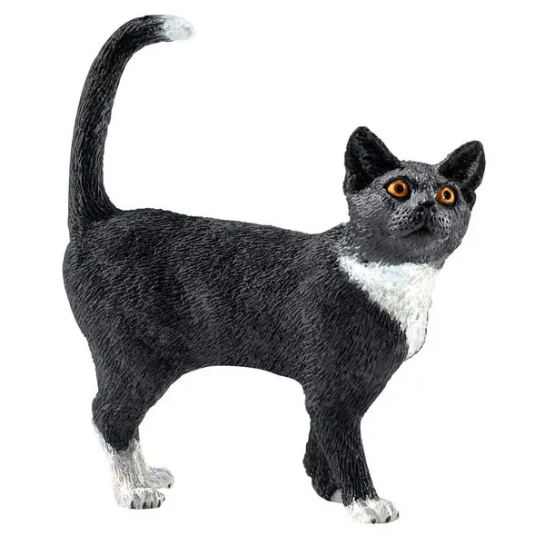 Image of Cat, Standing