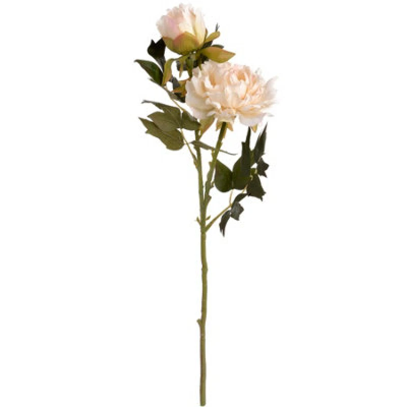 Image of Hill Interiors Artificial Fashion Peony Spray White (One Size)