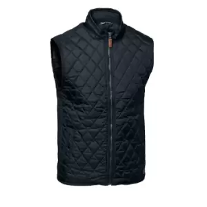 image of Nimbus Mens Camden Quilted Gilet/Bodywarmer (L) (Midnight Blue)