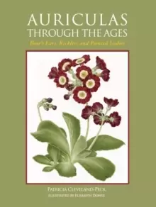 Image of Auriculas through the Ages : Bear's Ears, Ricklers and Painted Ladies