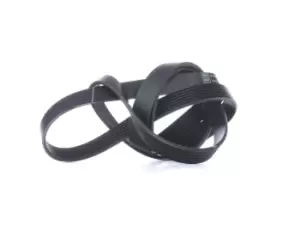 Image of SKF V-ribbed belt MERCEDES-BENZ,JEEP,CHRYSLER VKMV 7PK2035 04891587AA,04891587AA,5175961AA K04891587AA,K04891587AB,K05175961AA,0009970196,0019937596
