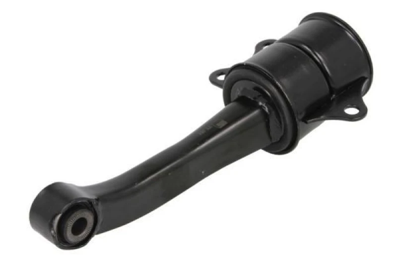 Image of REINHOCH Mounting, manual transmission REINHOCH RH11-0027