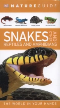 Image of Snakes and Other Reptiles and Amphibians by Chris Mattison Paperback