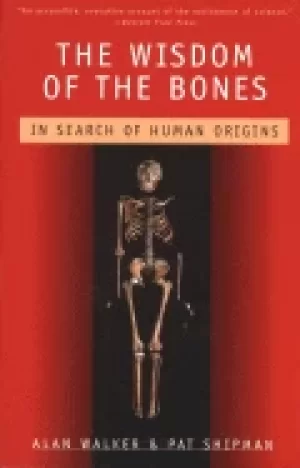 Image of wisdom of the bones in search of human origins