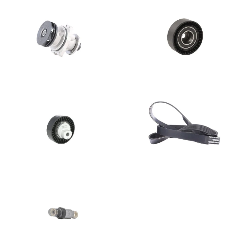Image of RIDEX 4172P0025 Water Pump + V-Ribbed Belt Kit Water Pump + V-Ribbed Belt Kit (4172)
