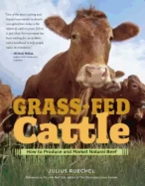 Image of grass fed cattle how to produce and market natural beef