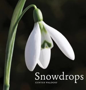 Image of Snowdrops by Gunter Waldorf Hardback