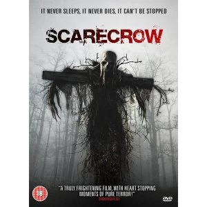 Image of Scarecrow DVD