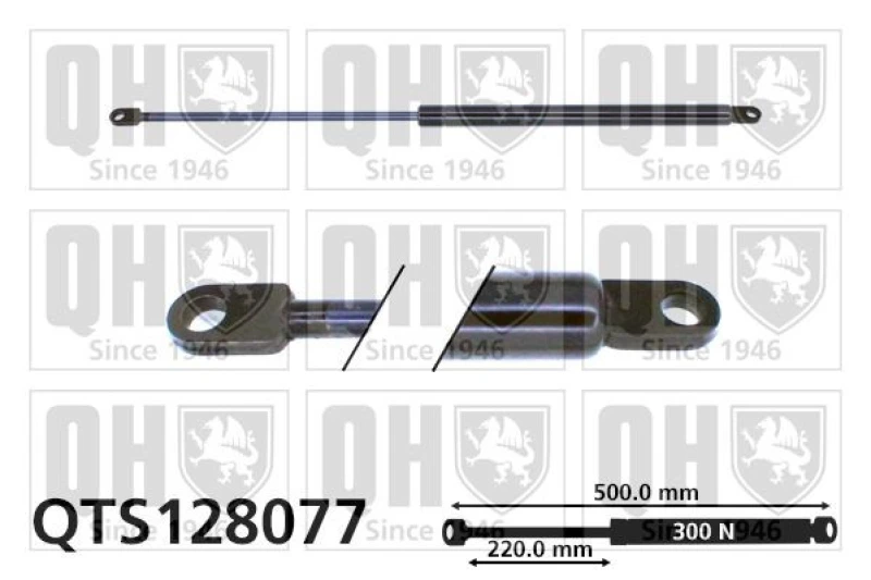 Image of QUINTON HAZELL Tailgate strut QUINTON HAZELL QTS128077