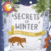 Image of Shine a Light: Secrets of Winter : A shine-a-light book