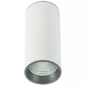 Italux Moldes Big wh / gr Ceiling 4000K - Modern Technical LED Surface Mounted White, Grey, Cool White 4000K 820lm