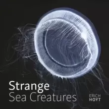 Image of Strange Sea Creatures