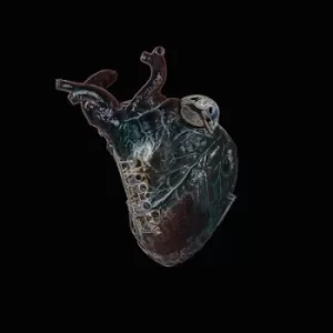 Image of Guardians of the Heart Machine by Seamus Blake CD Album