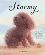 Image of stormy a story about finding a forever home
