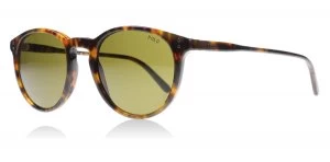 image of Polo PH4110 Sunglasses Tortoise 501773 50mm