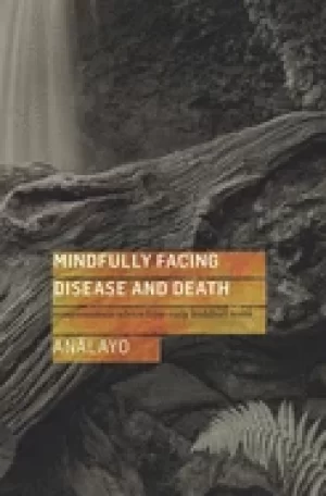 Image of mindfully facing disease and death compassionate advice from early buddhist