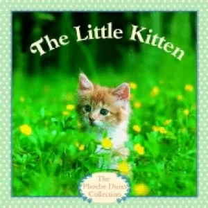 Image of little kitten pictureback