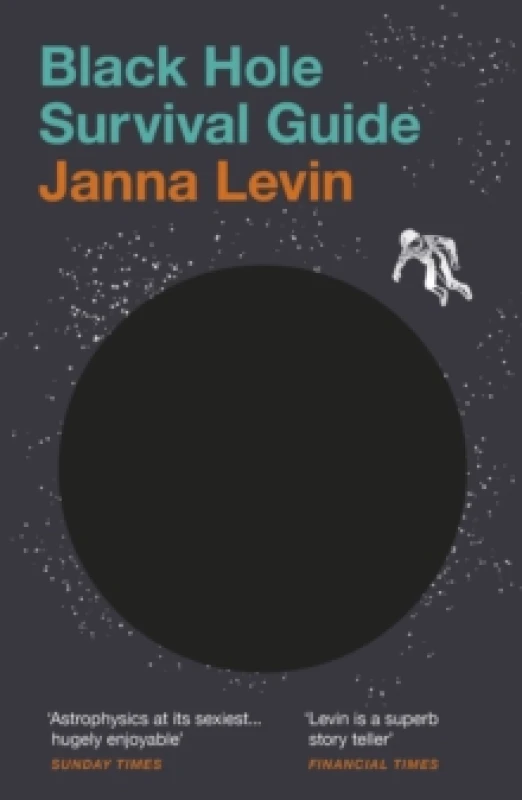 Image of Black Hole Survival Guide Paperback / softback