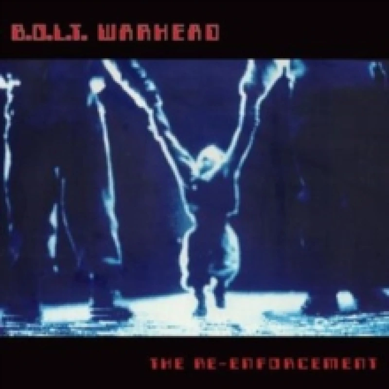 Image of The re-enforcement Vinyl