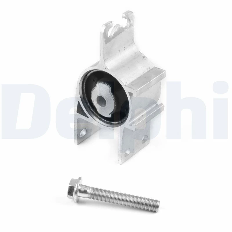 Image of DELPHI Trailing arm / Suspension arm bush DELPHI TD2075W
