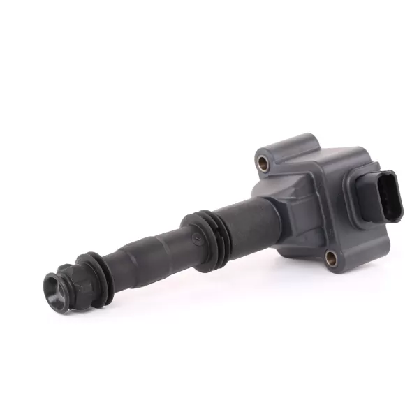 Image of Beru ZS178 / 0040100178 Ignition Coil Replaces 99660210400
