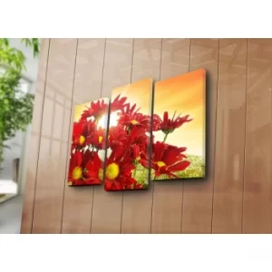 Image of 3PATK-56 Multicolor Decorative Canvas Painting (3 Pieces)