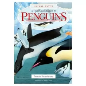 Image of A visual introduction to penguins by Bernard Stonehouse