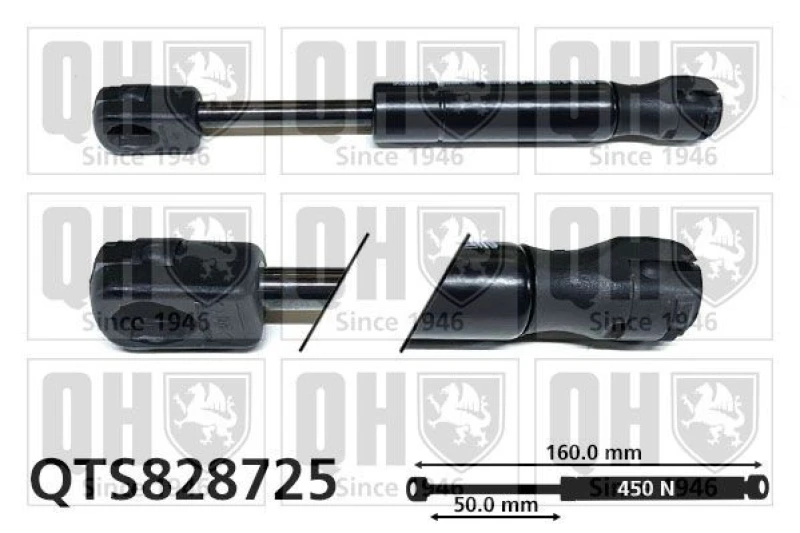 Image of QUINTON HAZELL Tailgate strut QUINTON HAZELL QTS828725