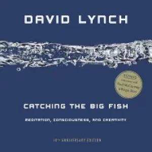 Image of catching the big fish meditation consciousness and creativity 10th annivers