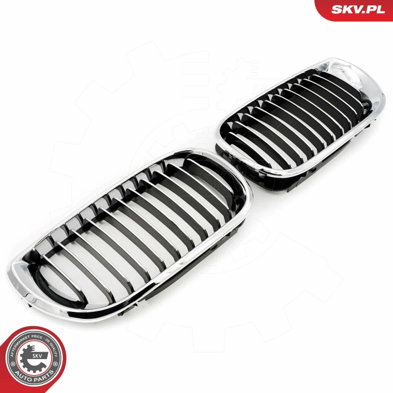 Image of ESEN SKV Radiator Grille ESEN SKV 66SKV078