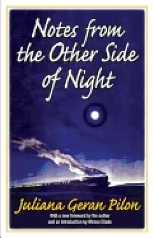 Image of notes from the other side of night