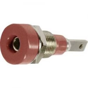 Image of Jack socket Socket vertical vertical Pin diameter 2mm Grey St