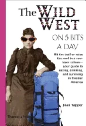 Image of wild west on 5 bits a day